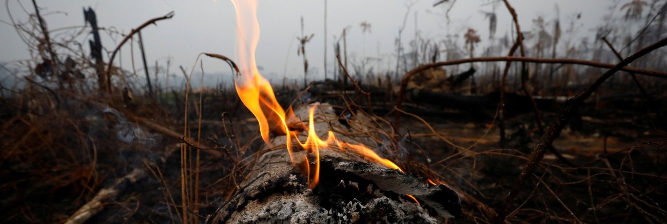 Ein brennender Baumstamm in einem niedergebrannten Stück Regelwald am 24. August 2019 im brasilianischen Bundesstaat Amazonas © REUTERS/Bruno Kelly