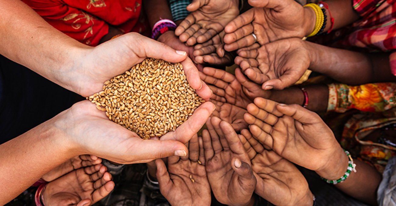Getreideausgabe: Hände hungriger afrikanischer Kinder