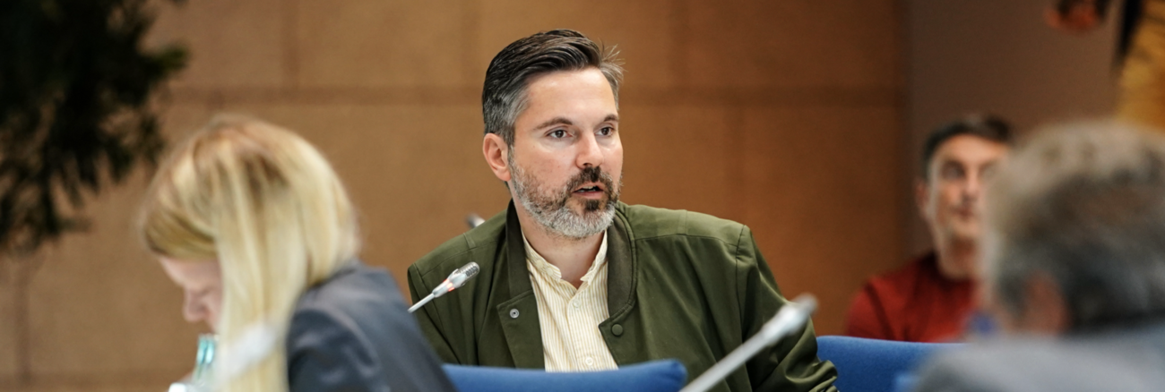 Fabio De Masi spricht während einer Fraktionssitzung Fabio De Masi spricht während einer Fraktionssitzung