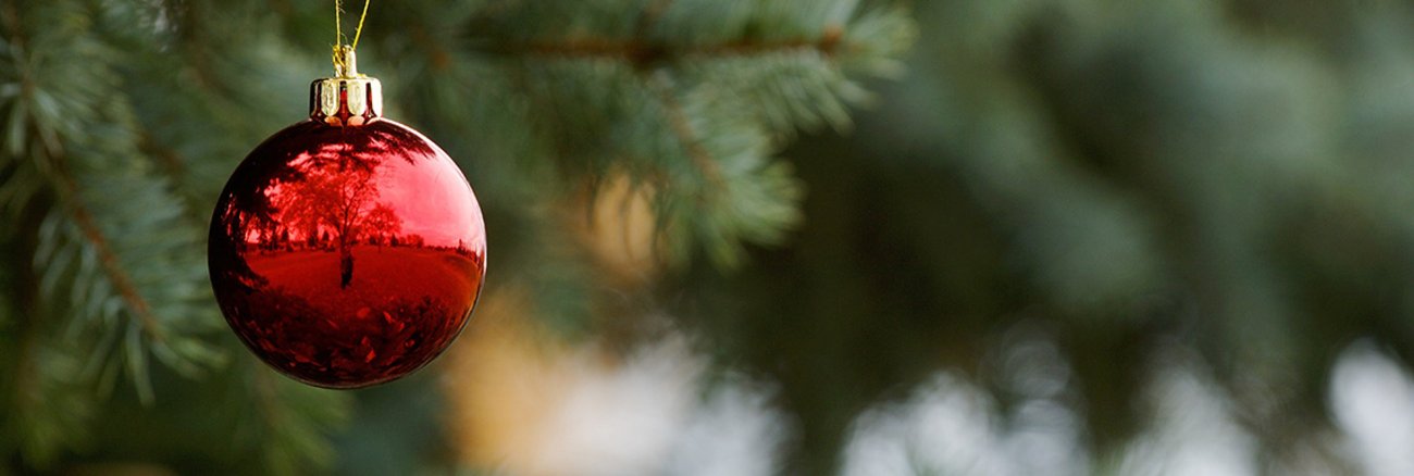 Rote Weihnachtskugel an einer Tanne Rote Weihnachtskugel an einer Tanne