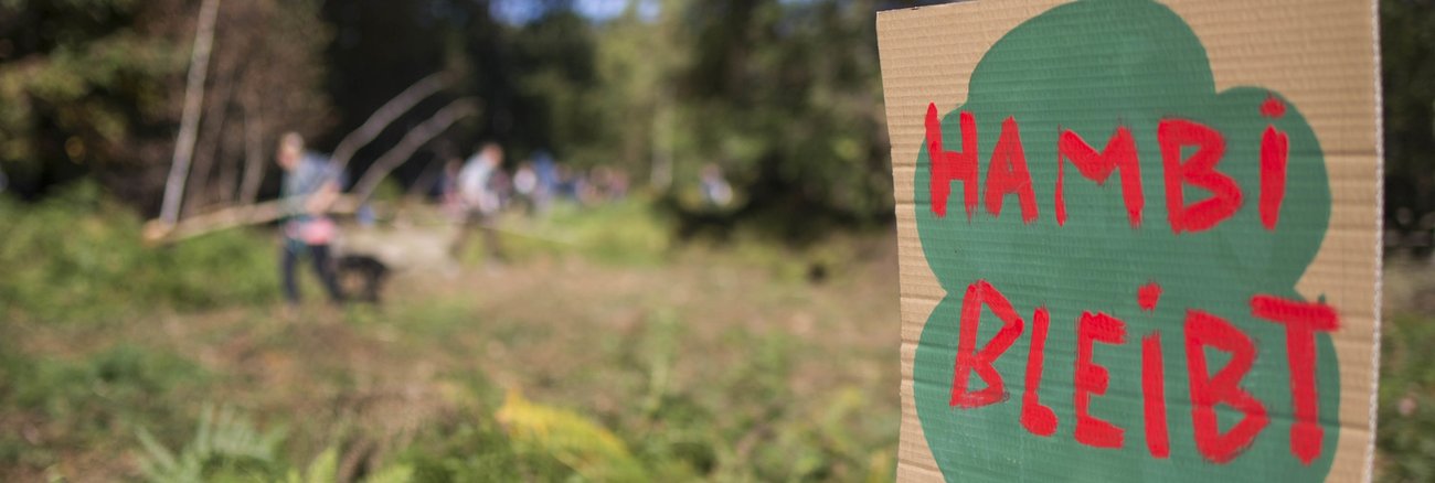 Schild mit der Aufschrift »Hambi bleibt« bei den Protesten gegen die Rodung des Hambacher Forsts © picture alliance/ZUMA Press