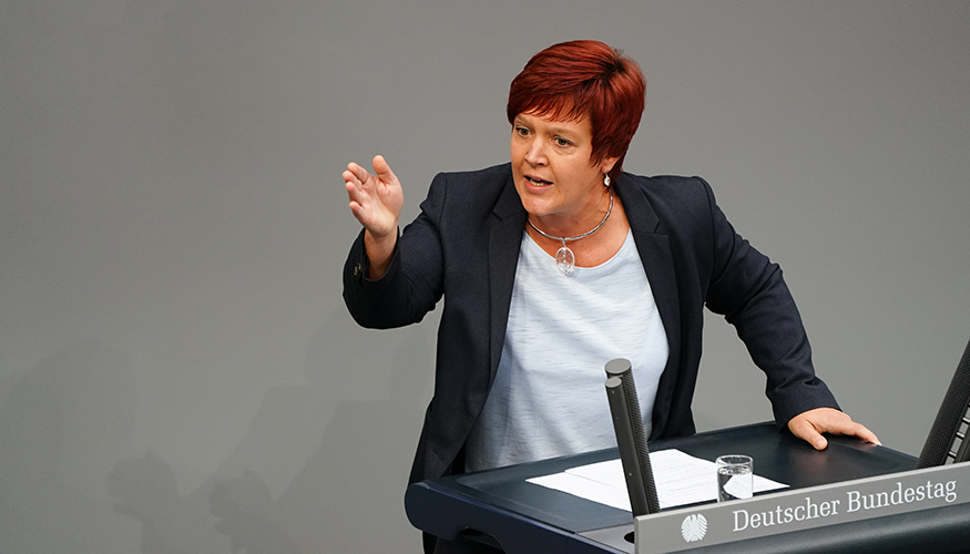 875x500 susanne ferschl plenum rede