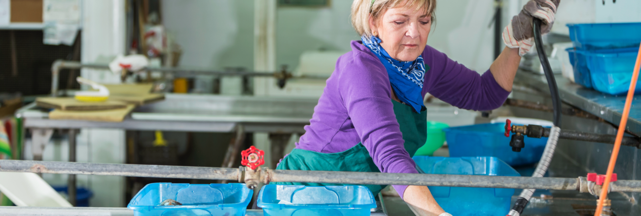 Eine ältere Arbeiterin in einer Lebensmittelfabrik © iStock/kali9