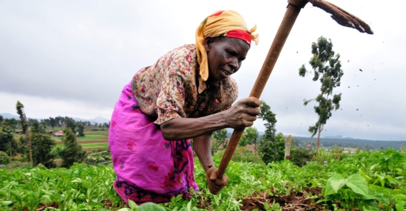 Kleinbäuerin in Kenia bei der Feldarbeit © Neil Palmer (CIAT)