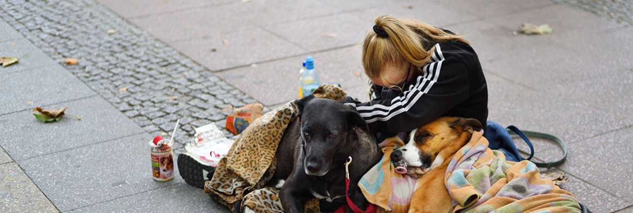 Eine obdachlose Frau sitzt auf der Straße auf Decken zusammen mit zwei Hunden