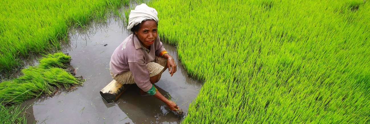 Eine Bäuerin auf einem Reisfeld © UN Photo/Martine Perret