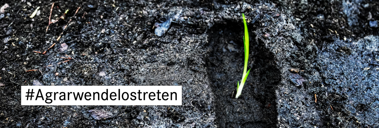 2280x768 agrarwende erde matsch fussabdruck