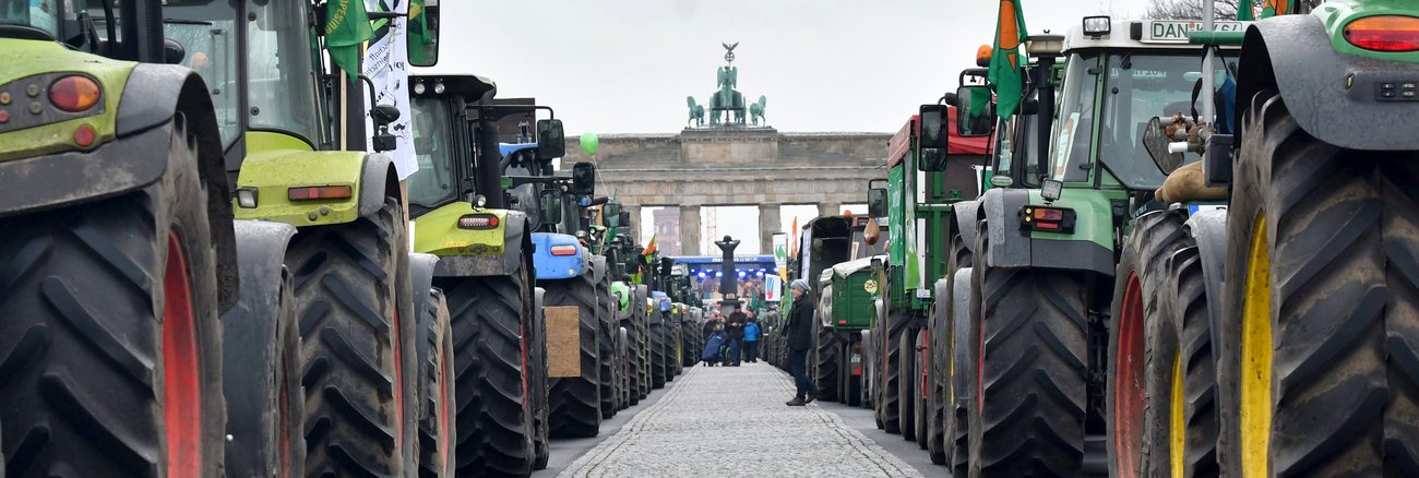 Traktoren vor dem Brandenburger Tor in Berlin bei der Bauern-Demonstration für eine Agrarwende am 26. November 2019 ©dpa/Paul Zinken