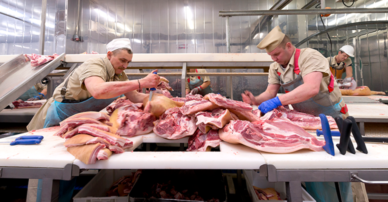 Arbeiter zerteilen Fleisch in einer Fleischfabrik / einem Schlachthof. Foto: © istock.com/IP Galanternik D.U.