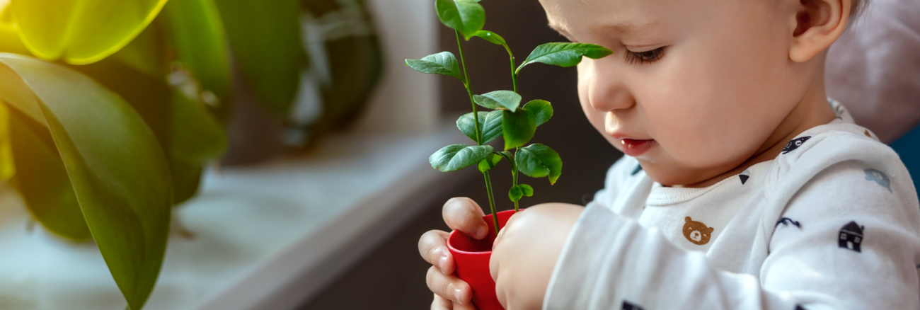 Ein Kind am Fenster hält einen kleinen roten Blumentopf mit einer Pflanze © iStock/Kyryl Gorlov Ein Kind am Fenster hält einen kleinen roten Blumentopf mit einer Pflanze © iStock/Kyryl Gorlov