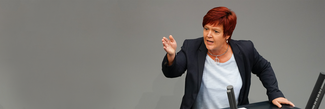 2280x768 Susanne Ferschl Plenum Rede Header
