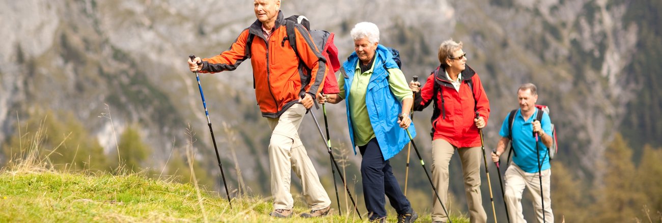 Zwei ältere Frauen und zwei ältere Männern beim Wandern in den Bergen © iStock/amriphoto