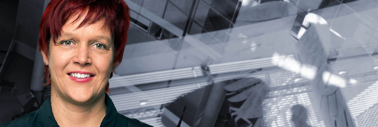 Mdb header susanne ferschl 01