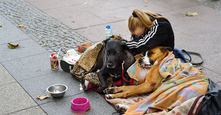 Eine obdachlose Frau sitzt auf der Straße auf Decken zusammen mit zwei Hunden