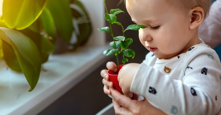 Ein Kind am Fenster hält einen kleinen roten Blumentopf mit einer Pflanze © iStock/Kyryl Gorlov