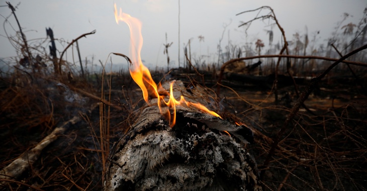Ein brennender Baumstamm in einem niedergebrannten Stück Regelwald am 24. August 2019 im brasilianischen Bundesstaat Amazonas © REUTERS/Bruno Kelly
