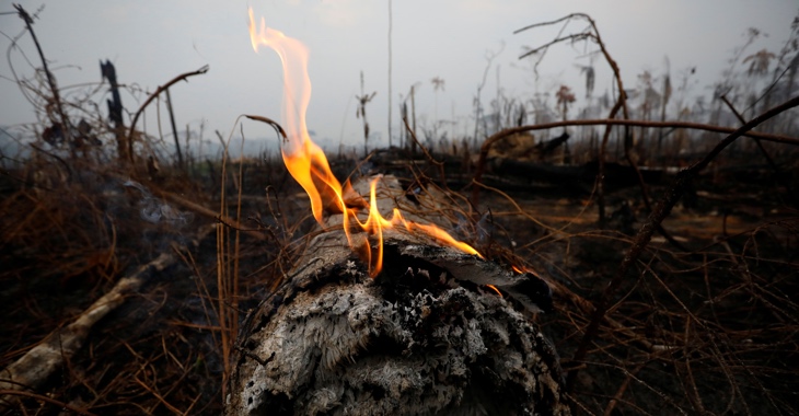 Ein brennender Baumstamm in einem niedergebrannten Stück Regelwald am 24. August 2019 im brasilianischen Bundesstaat Amazonas © REUTERS/Bruno Kelly Ein brennender Baumstamm in einem niedergebrannten Stück Regelwald am 24. August 2019 im brasilianischen Bundesstaat Amazonas © REUTERS/Bruno Kelly