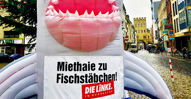 Miethai in der Kölner Südstadt © Cordula Vita Adam Miethai in der Kölner Südstadt © Cordula Vita Adam