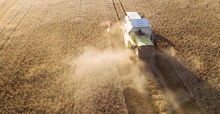 Dürre in Deutschland: Mähdrescher bei der Ernte