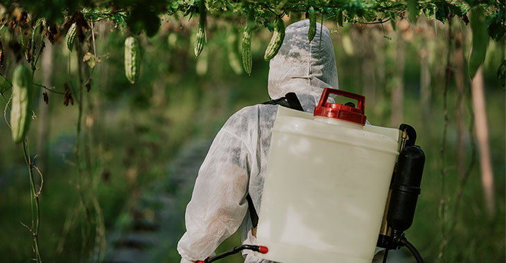 Landwirtin besprüht Pflanzen mit Pestiziden / Foto: istock.com / chee gin tan Landwirtin besprüht Pflanzen mit Pestiziden