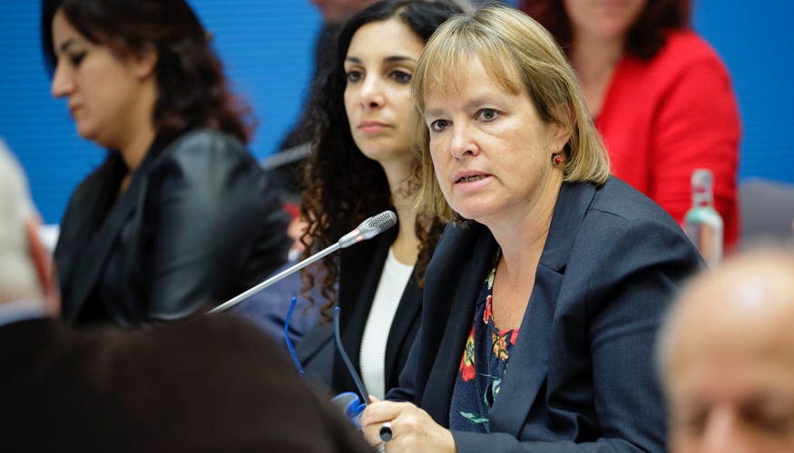 Heike Hänsel spricht während einer Fraktionssitzung der Linksfraktion im Bundestag © DBT/Thomas Imo/photothek