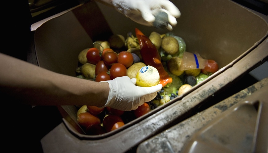 Obst und Gemüse in einer Mülltonne © picture alliance/picturedesk.com