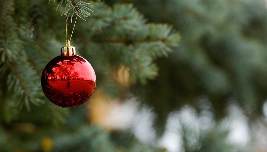 Rote Weihnachtskugel an einer Tanne Rote Weihnachtskugel an einer Tanne