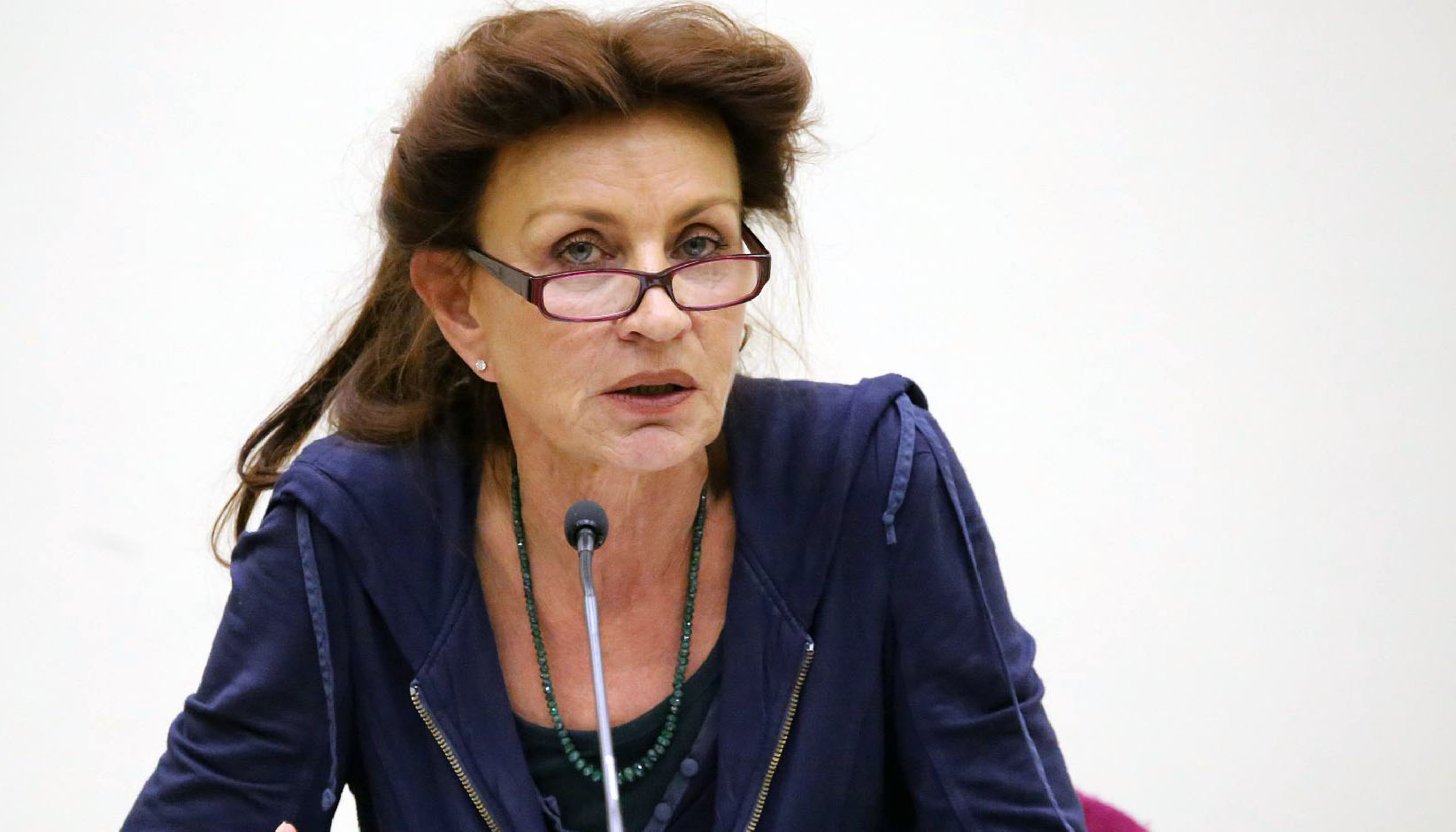 Ulla Jelpke