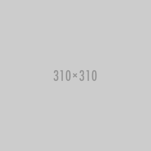 310x310