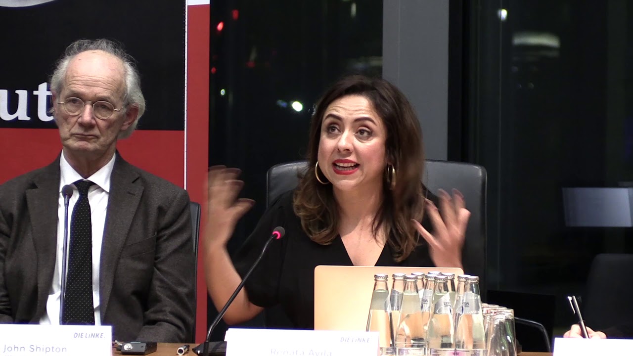 Medien unter Beschuss Renata vila Anwaltsteam von Julian Assange.youtube.maxres